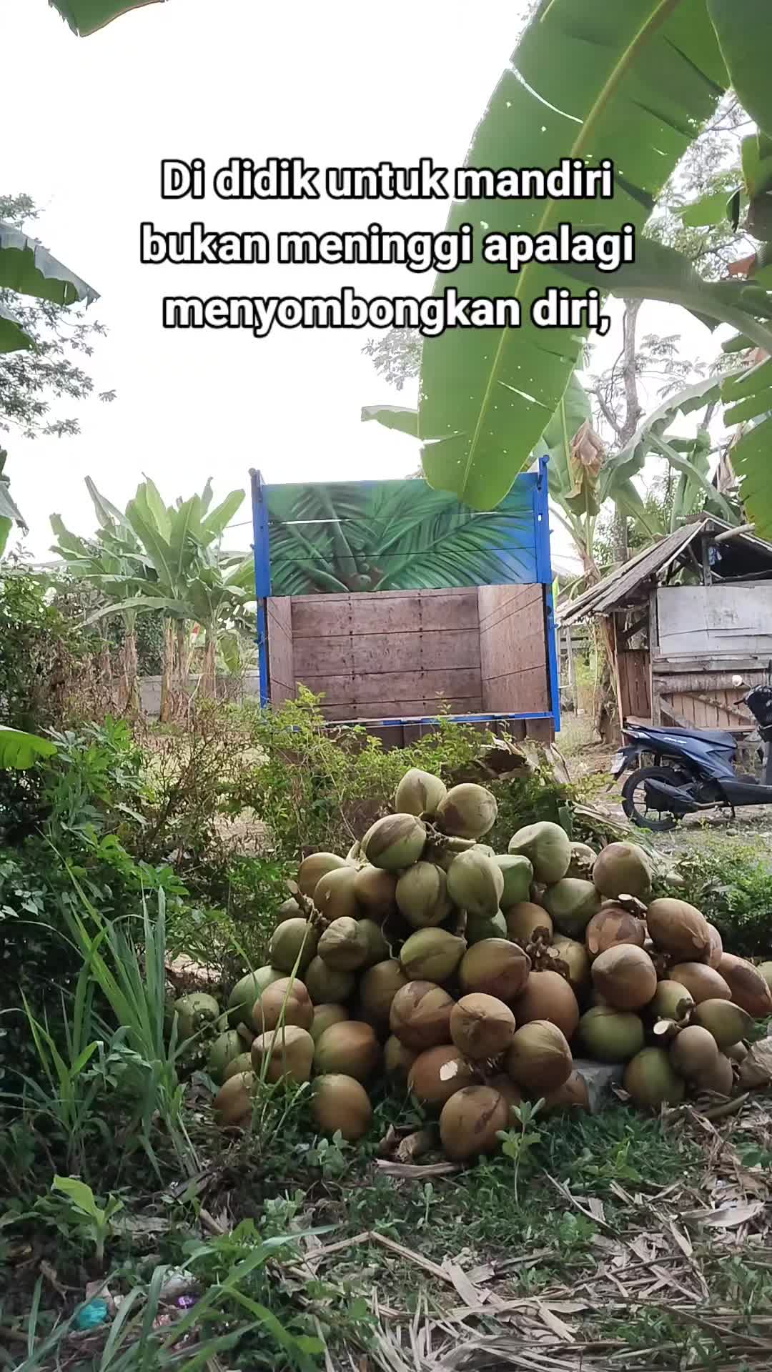 @@BANGKIT_MANDIRI01