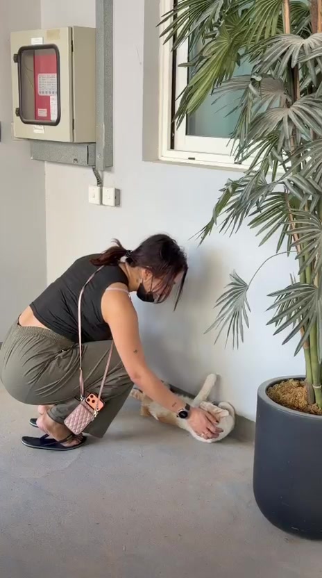 @ZeebaisZee