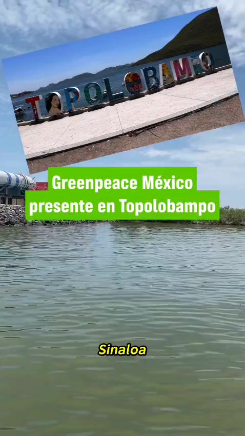 @Greenpeace México