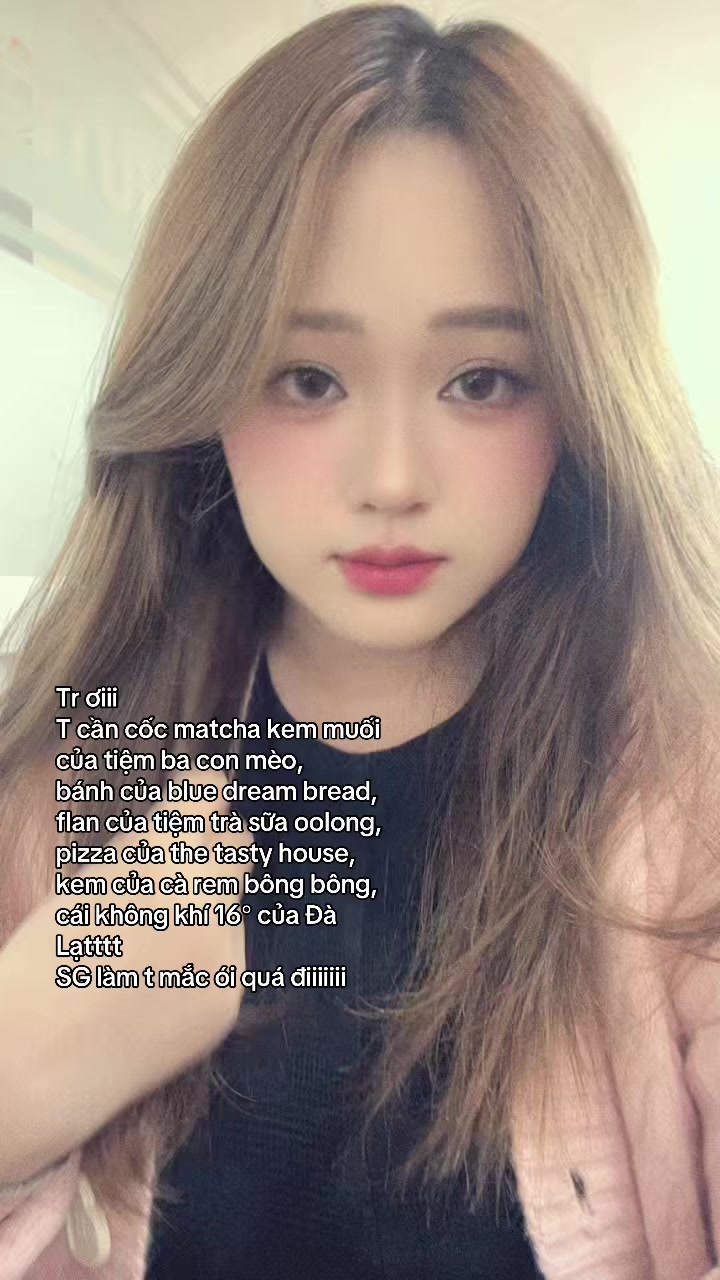 @Con mèo mê cơm tấm ⚜️