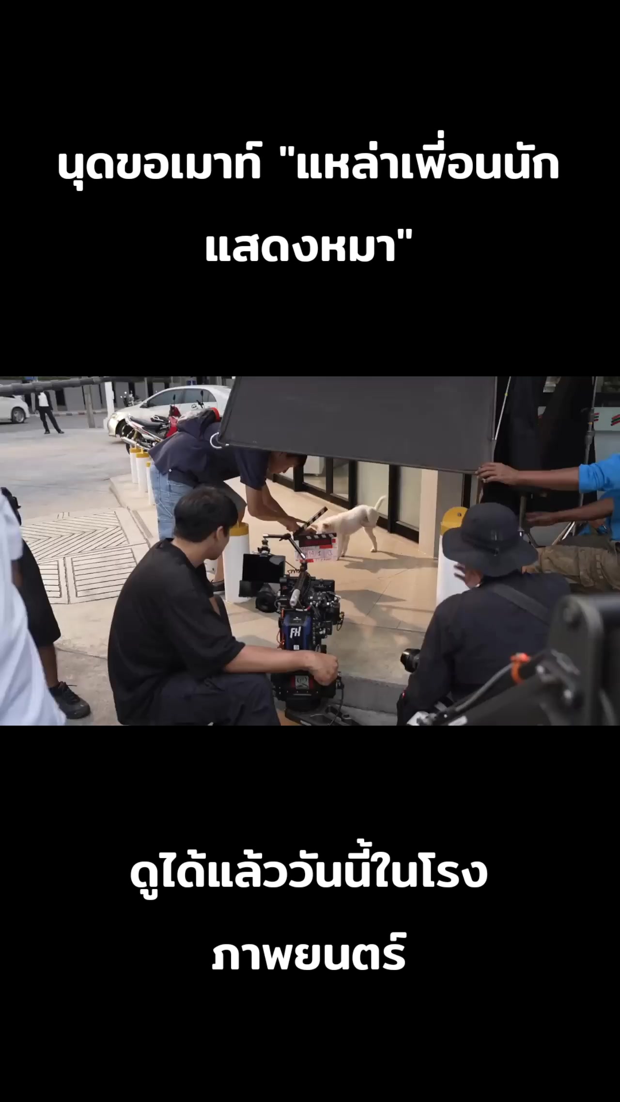 @🌷FC.พี่ตาต้า_38.7K🍃