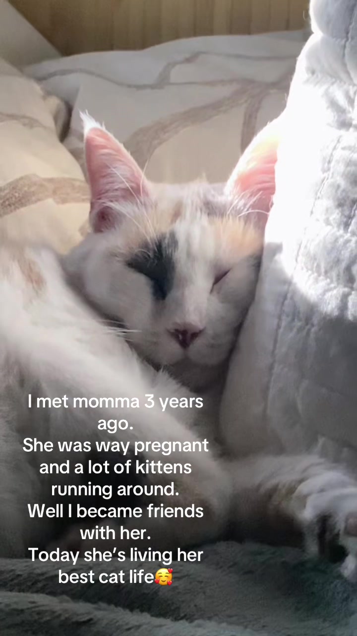 @#momenntswithmaradeth