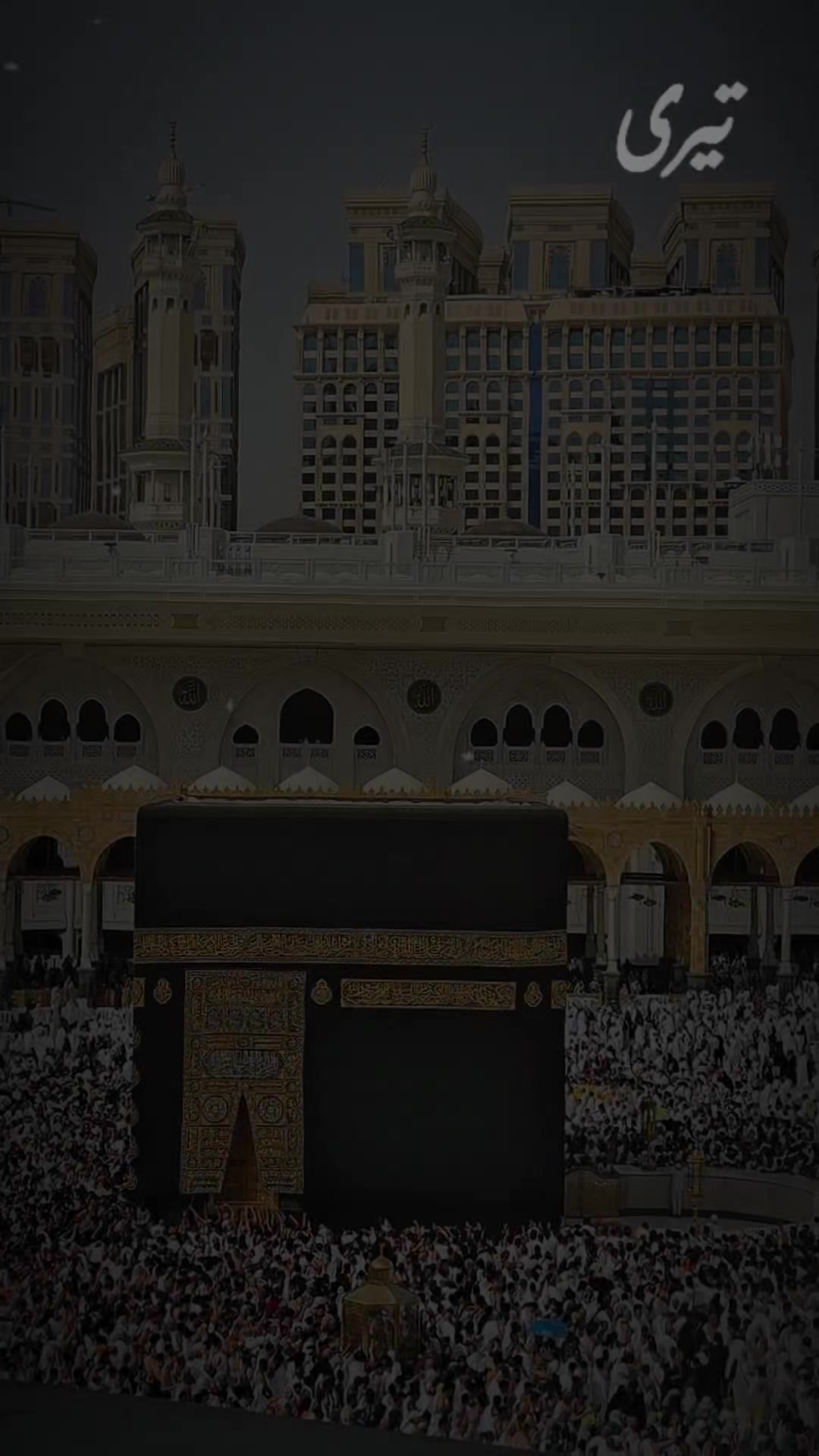 @اُسامہ چودھری ✨