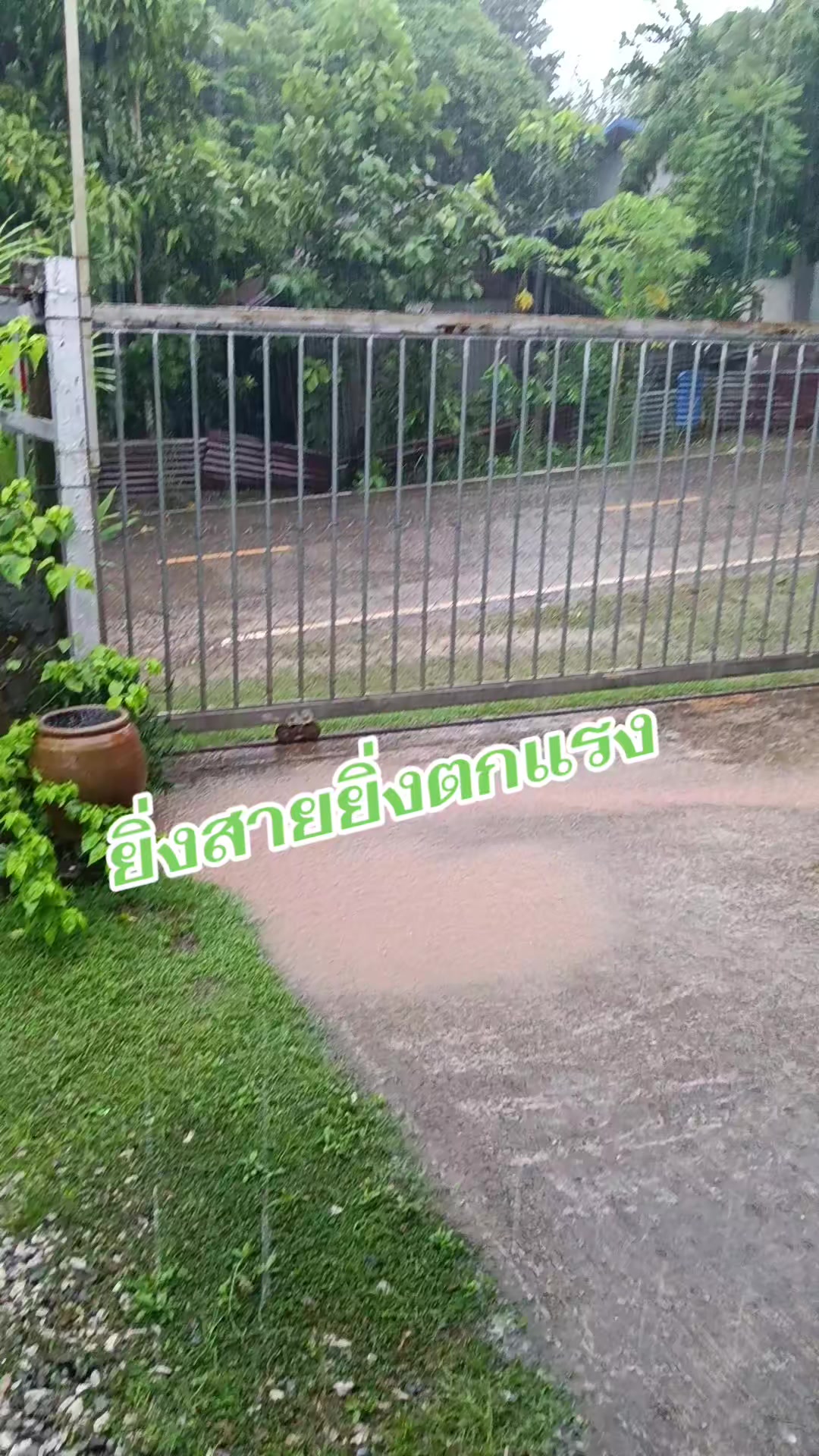 @pranee