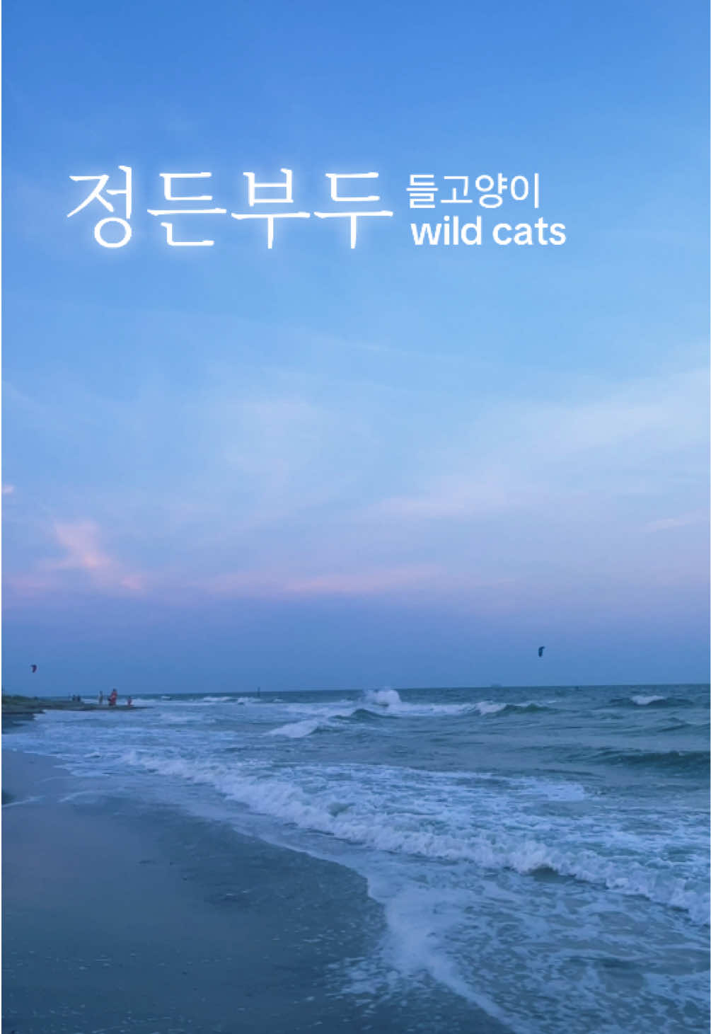 @Nomad James(노마드제임스)