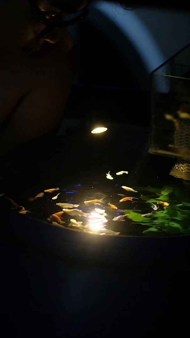 @Đức Nguyễn