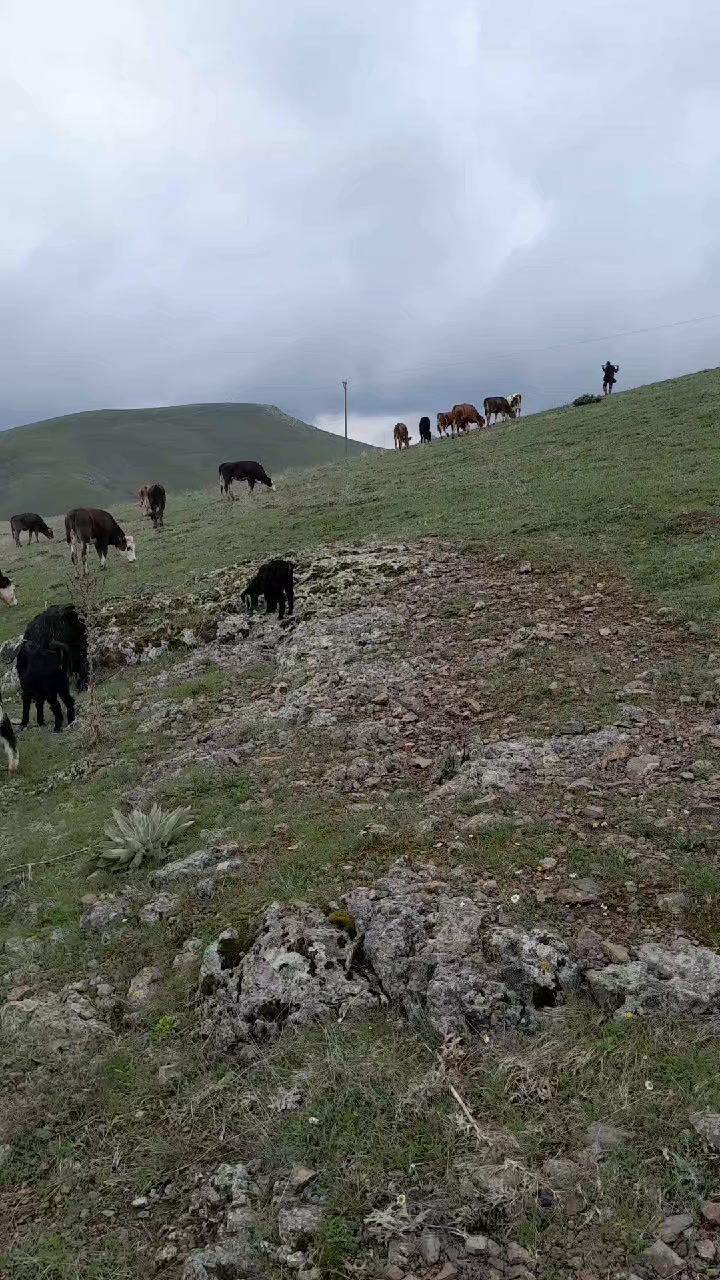 @sivaslı