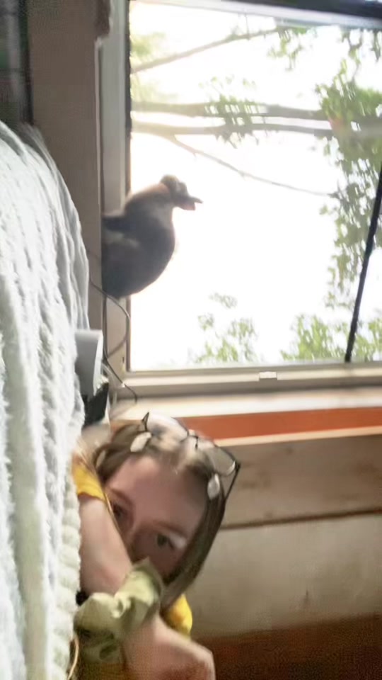 @vpeep
