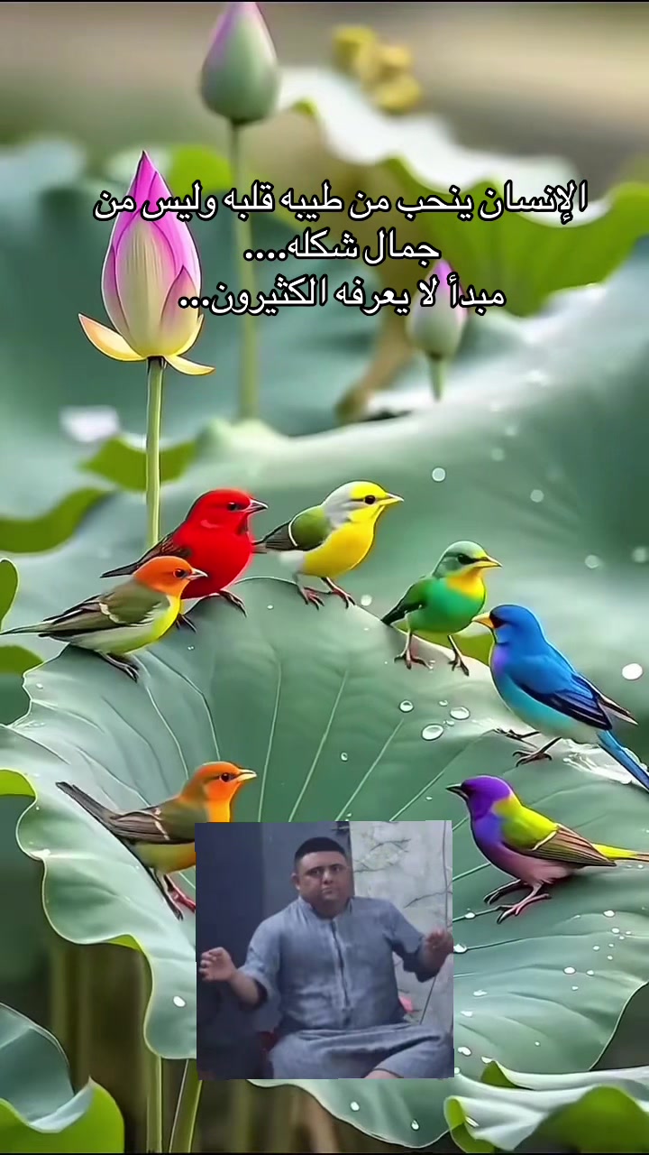 @Ali Al-Sarkhi