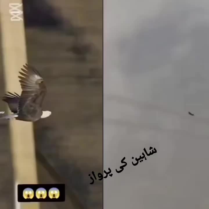 @Ahmed Kameel