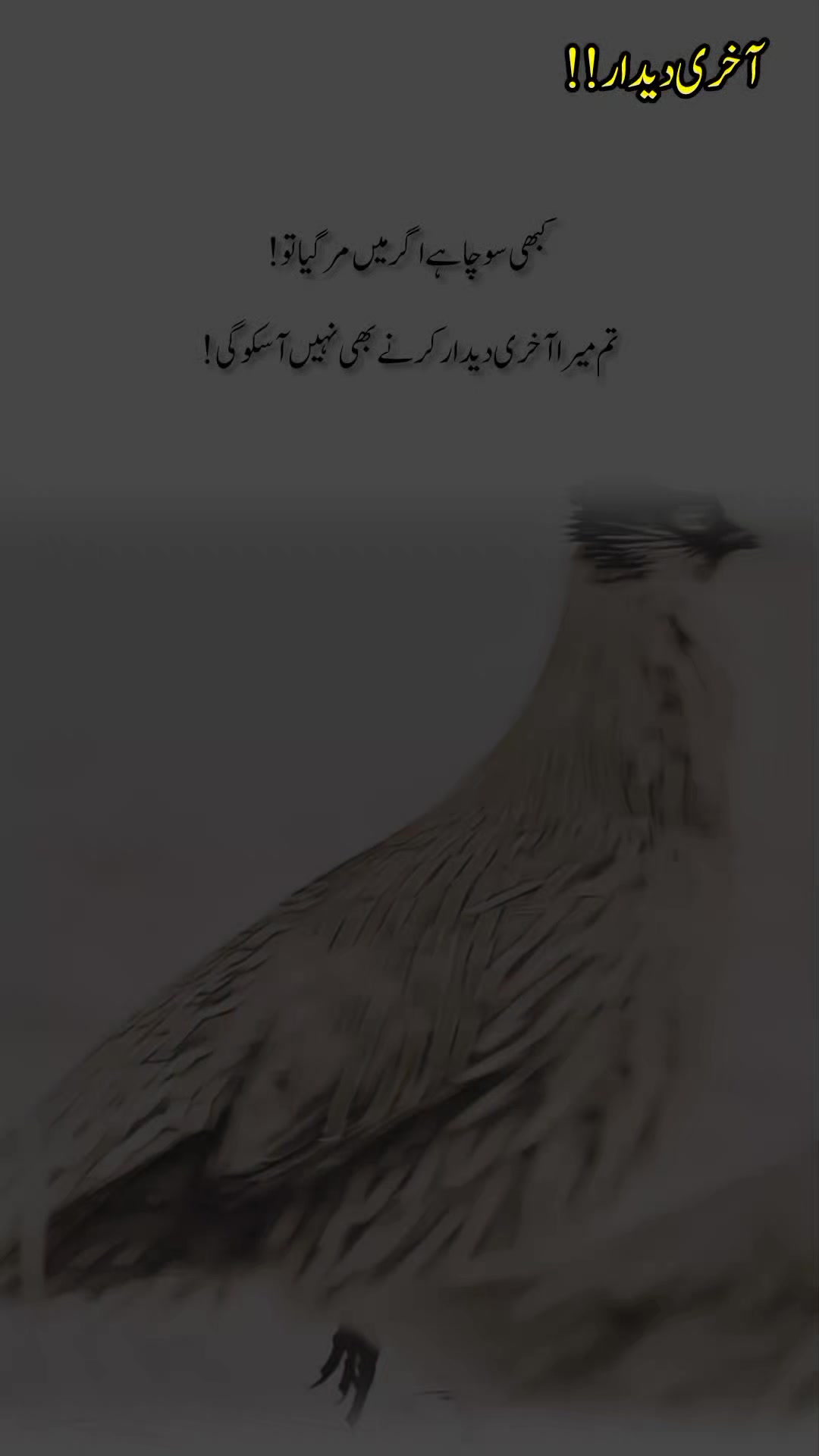 @درد دل