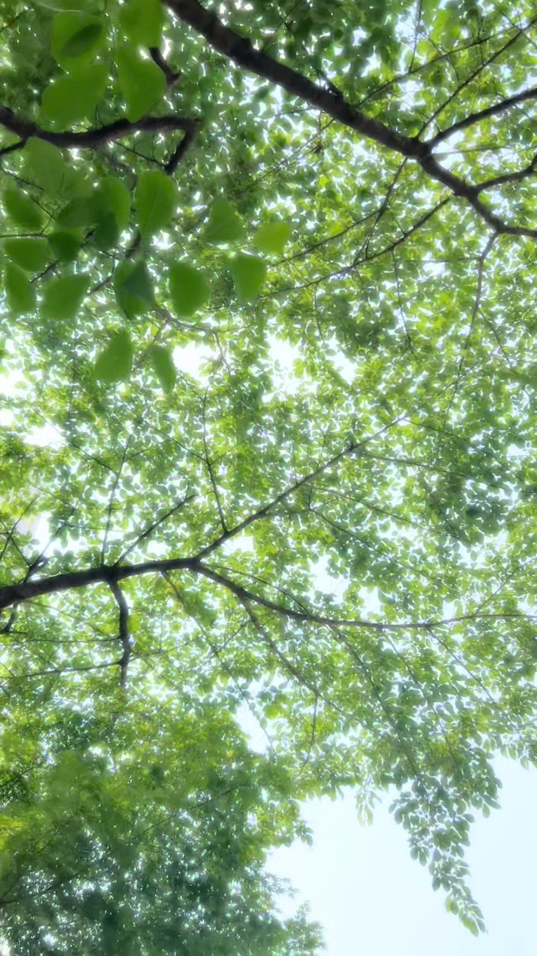 @Happiness