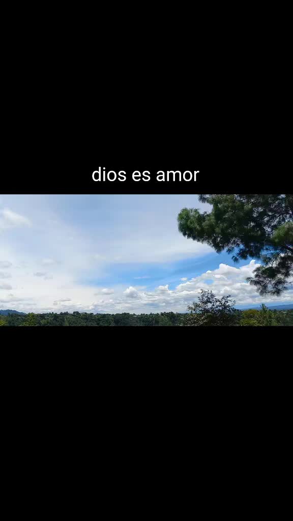 @maydi