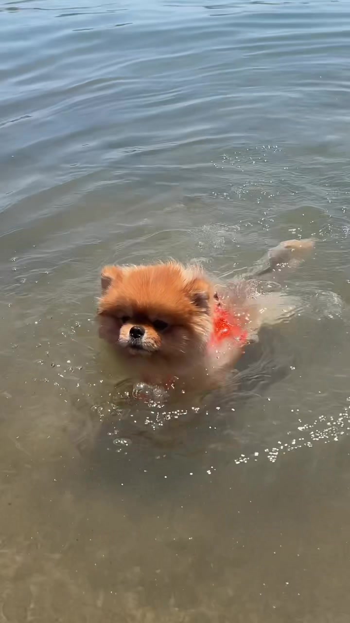 @Öykü
