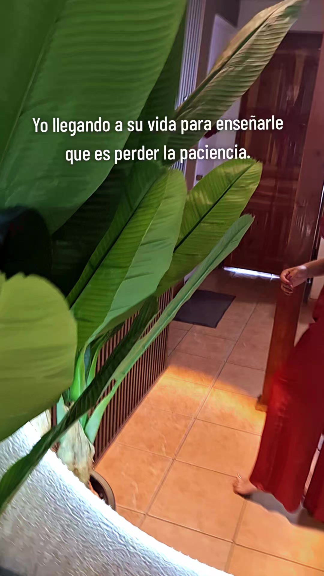 @javiimonse