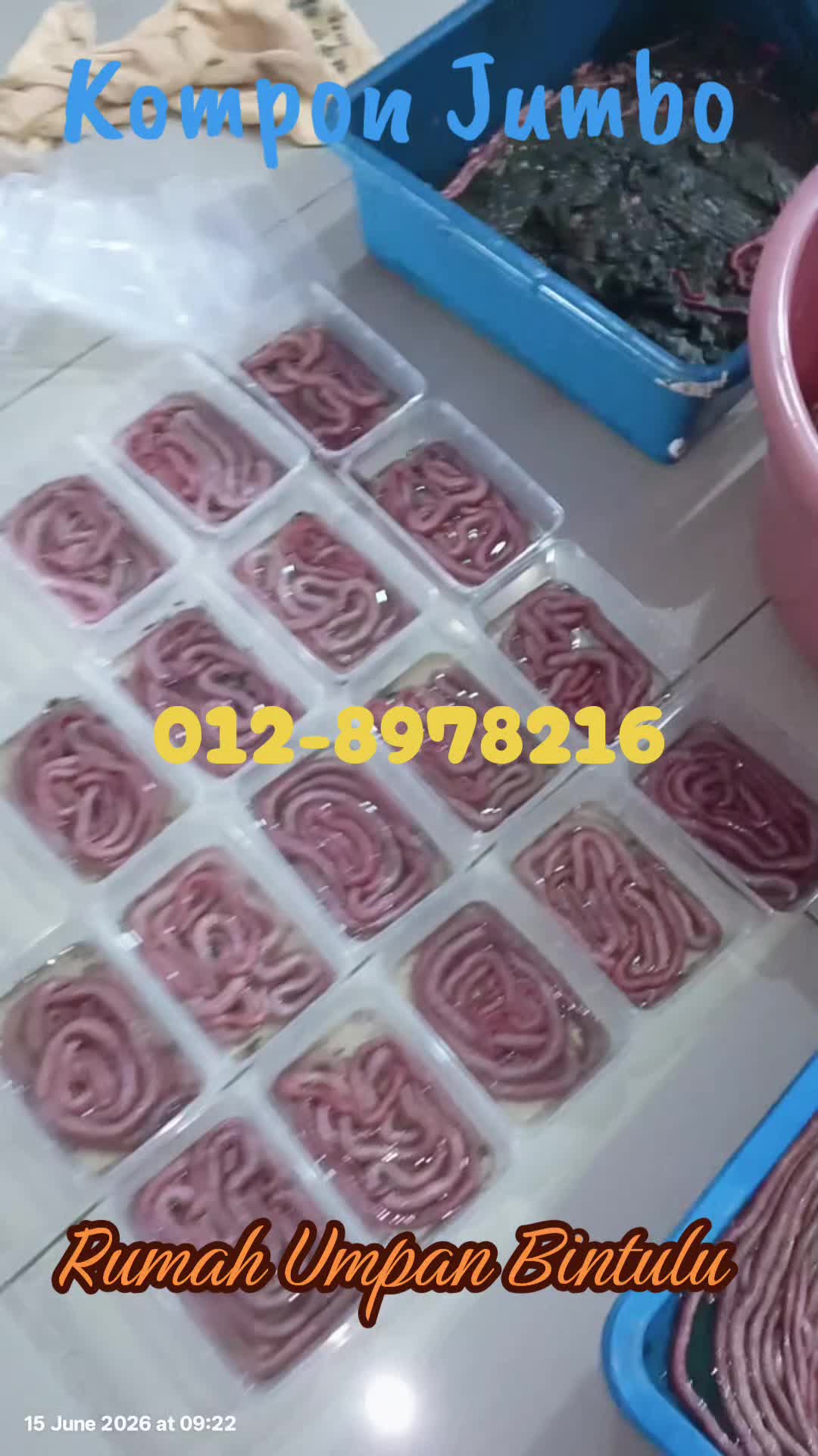 @Rumah Umpan Trading