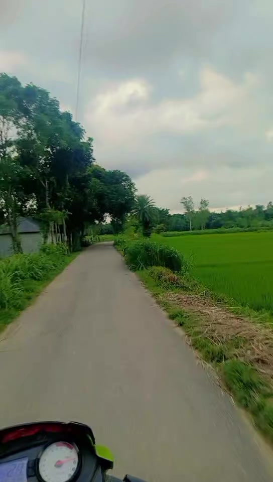 @ইসলামের শেহজাদী 🥰🫶
