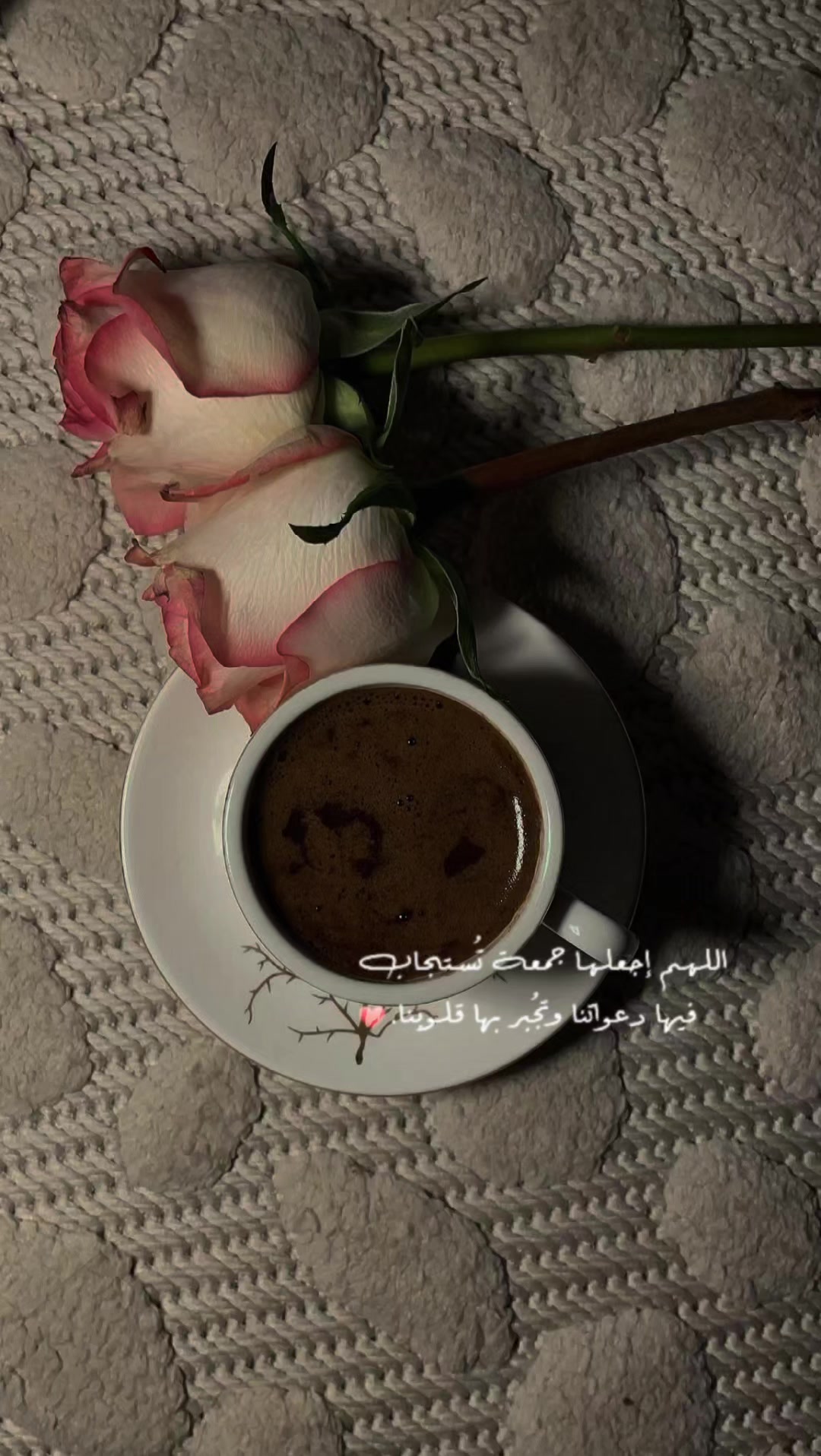 @لين الشريف❤
