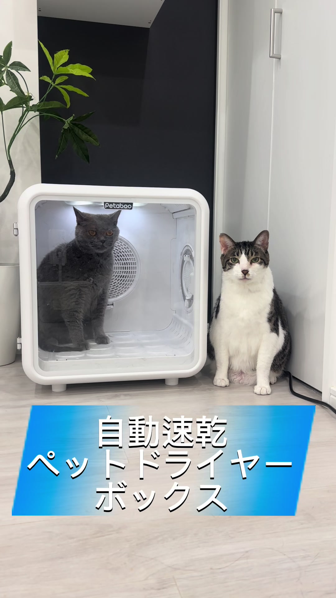 @ãºãå
çððïž