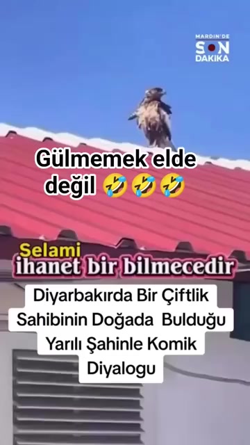 @Ahmet şeker
