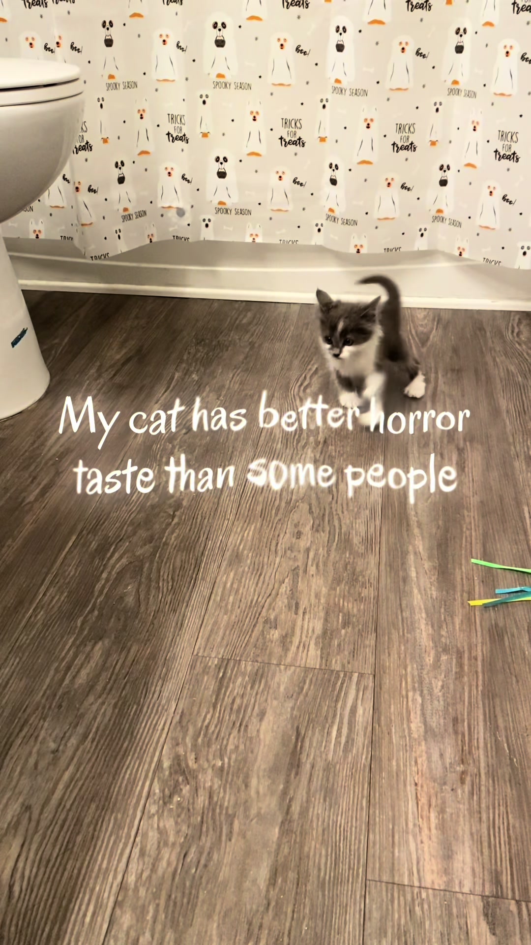 @luvxhorror