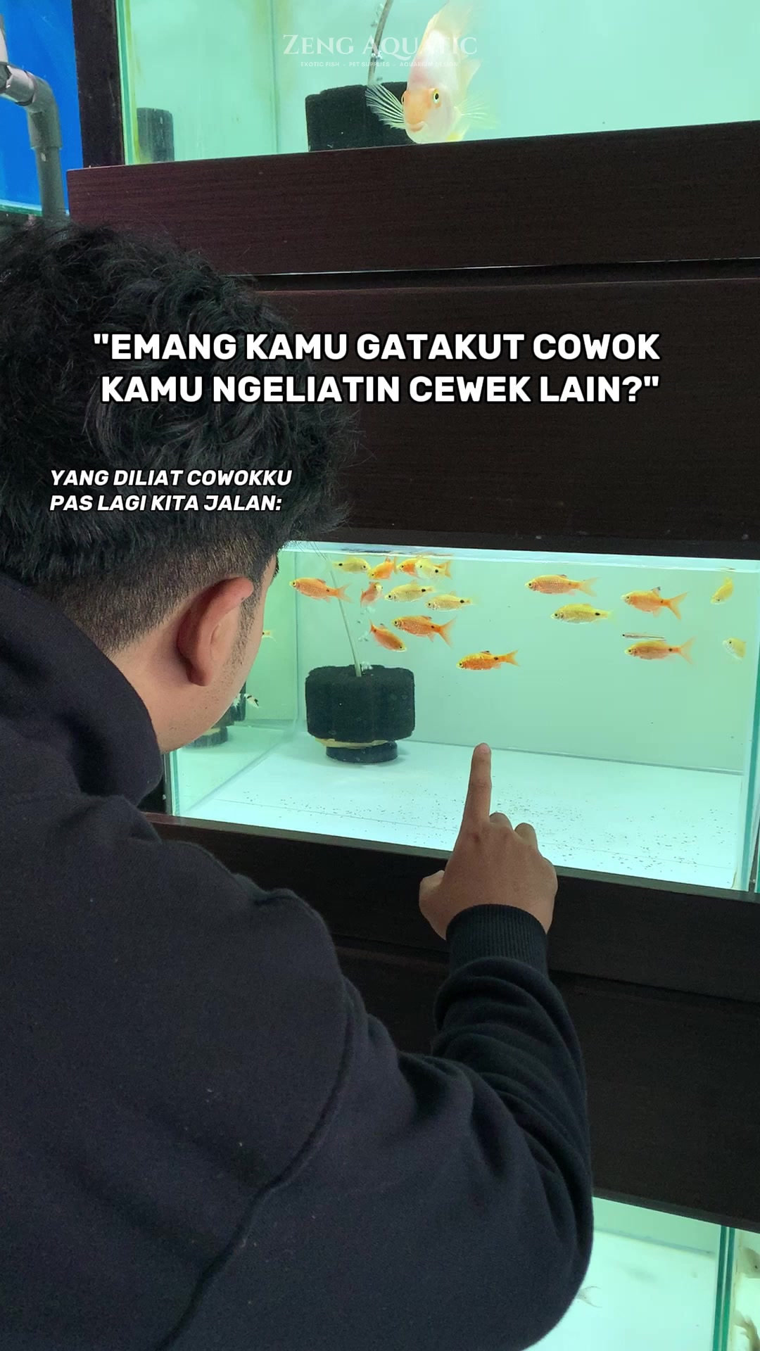 @Zeng Aquatic Indonesia