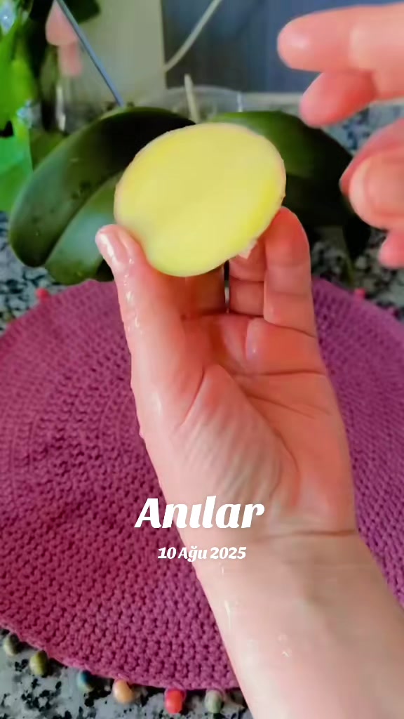 @gül_ygt34