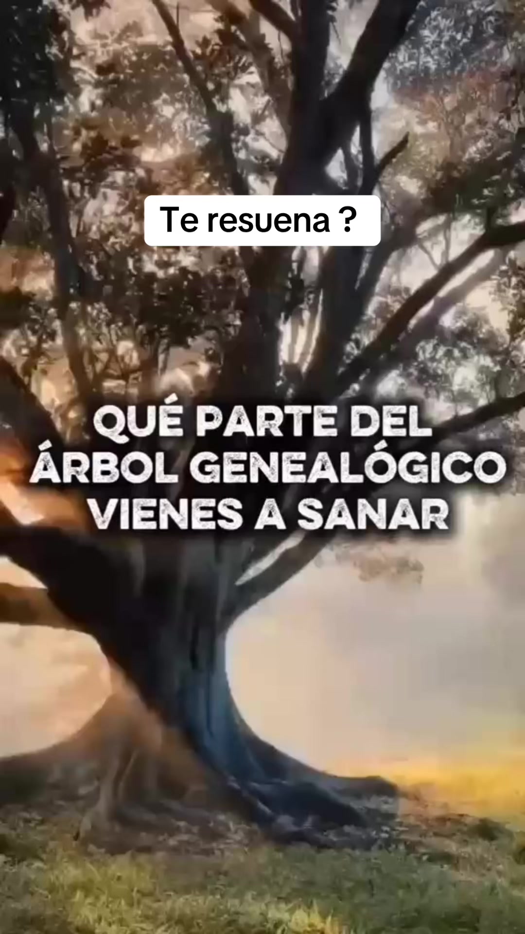@pattyverdugomx