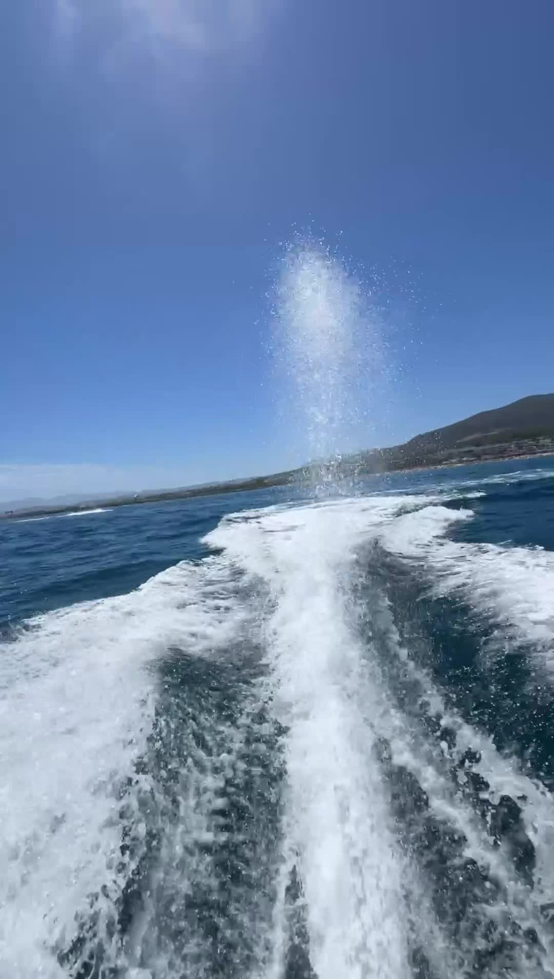 @sajiid___ch
