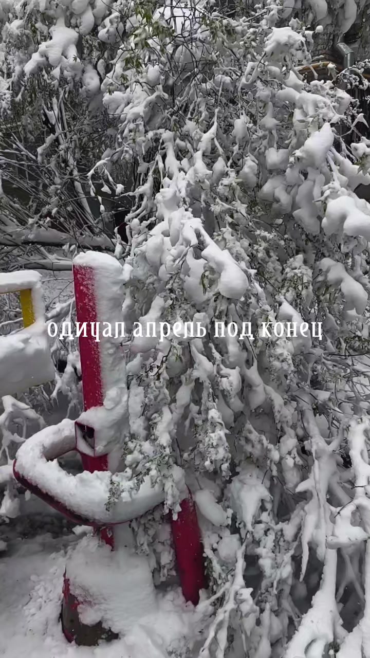 @НЕмайонез