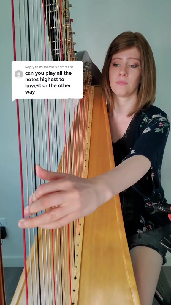 @Kristan💕 | HarpistKT