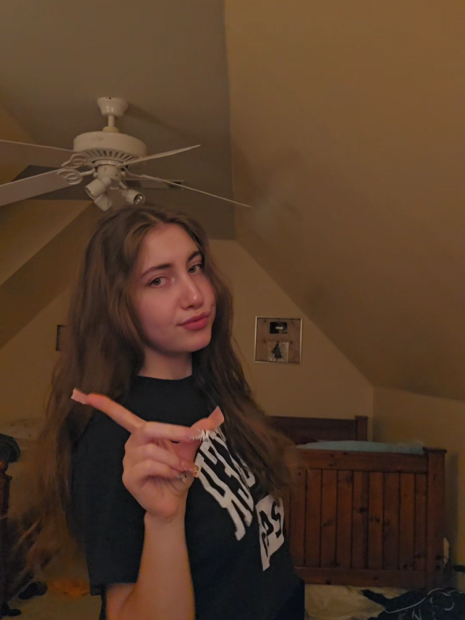 @lexi