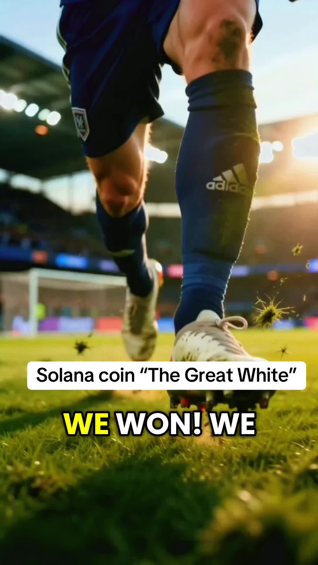 @SOLanaDEV