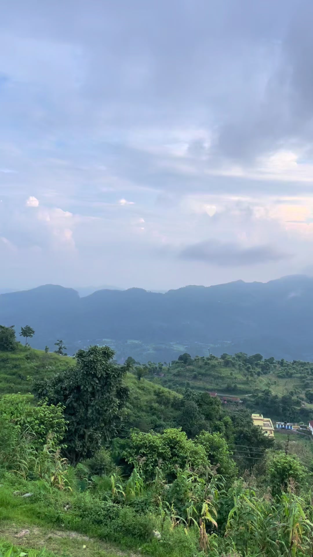 @चने 