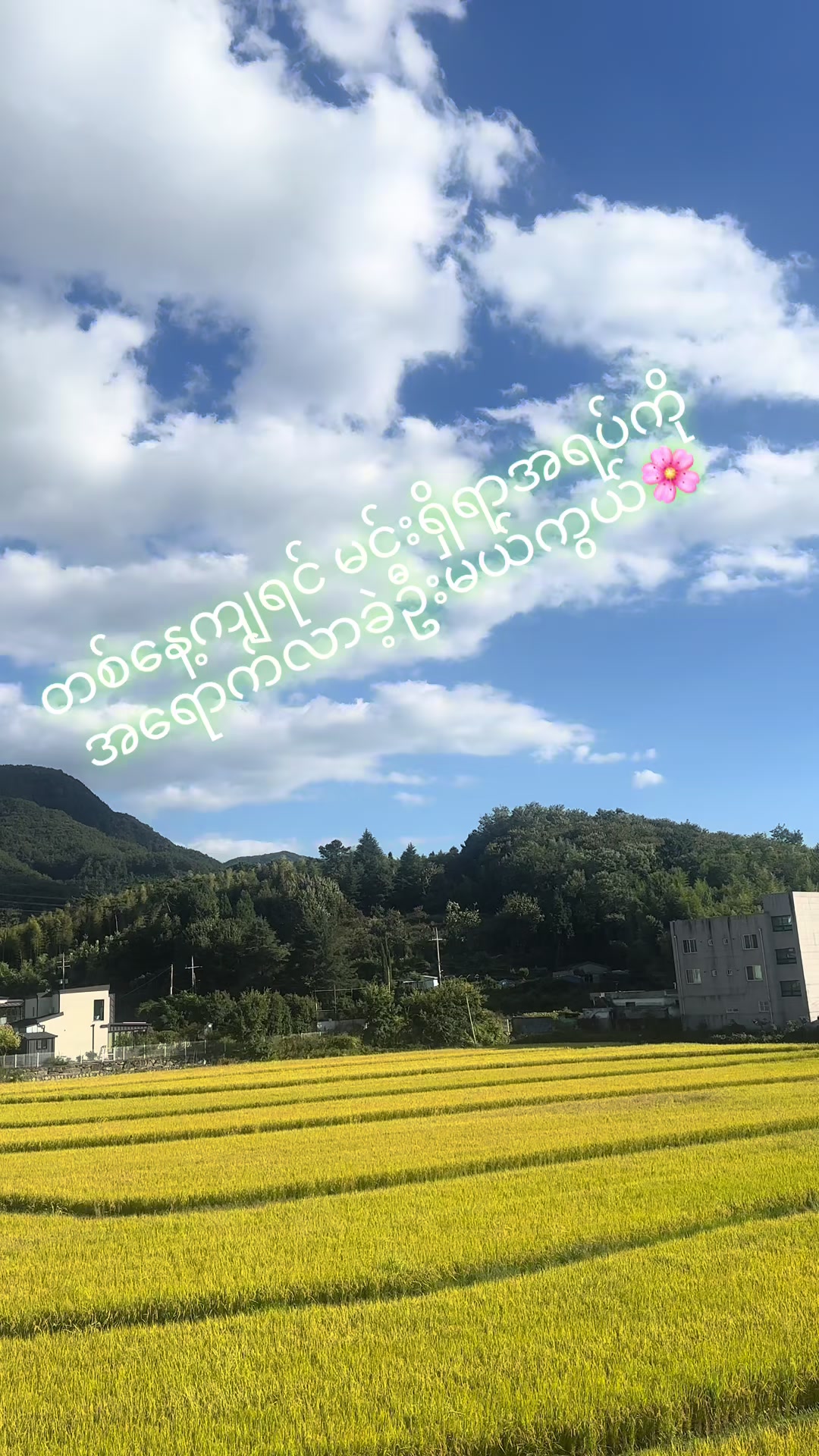 @헤인 오빠♓️