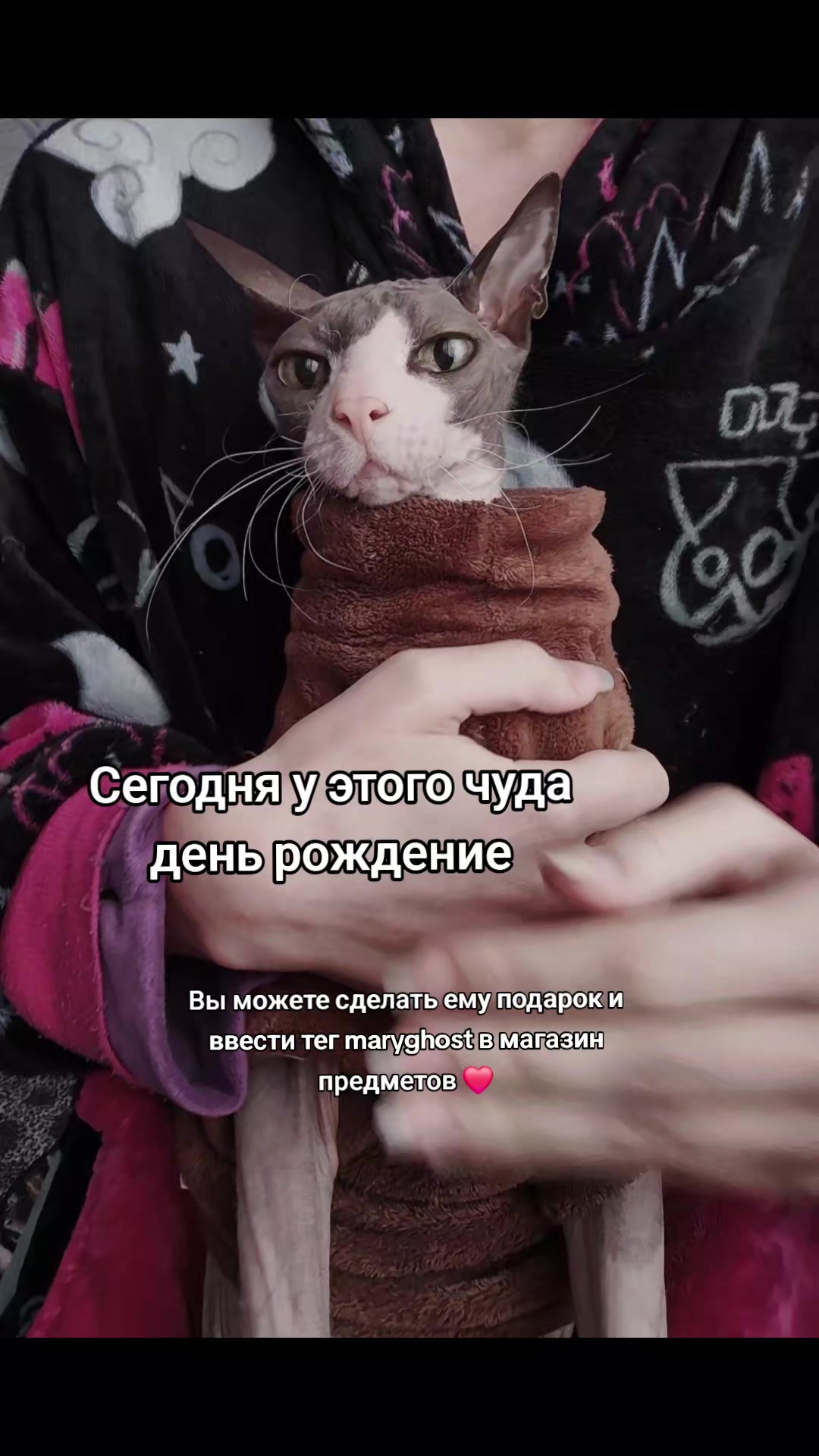 @тег: MaryGhost