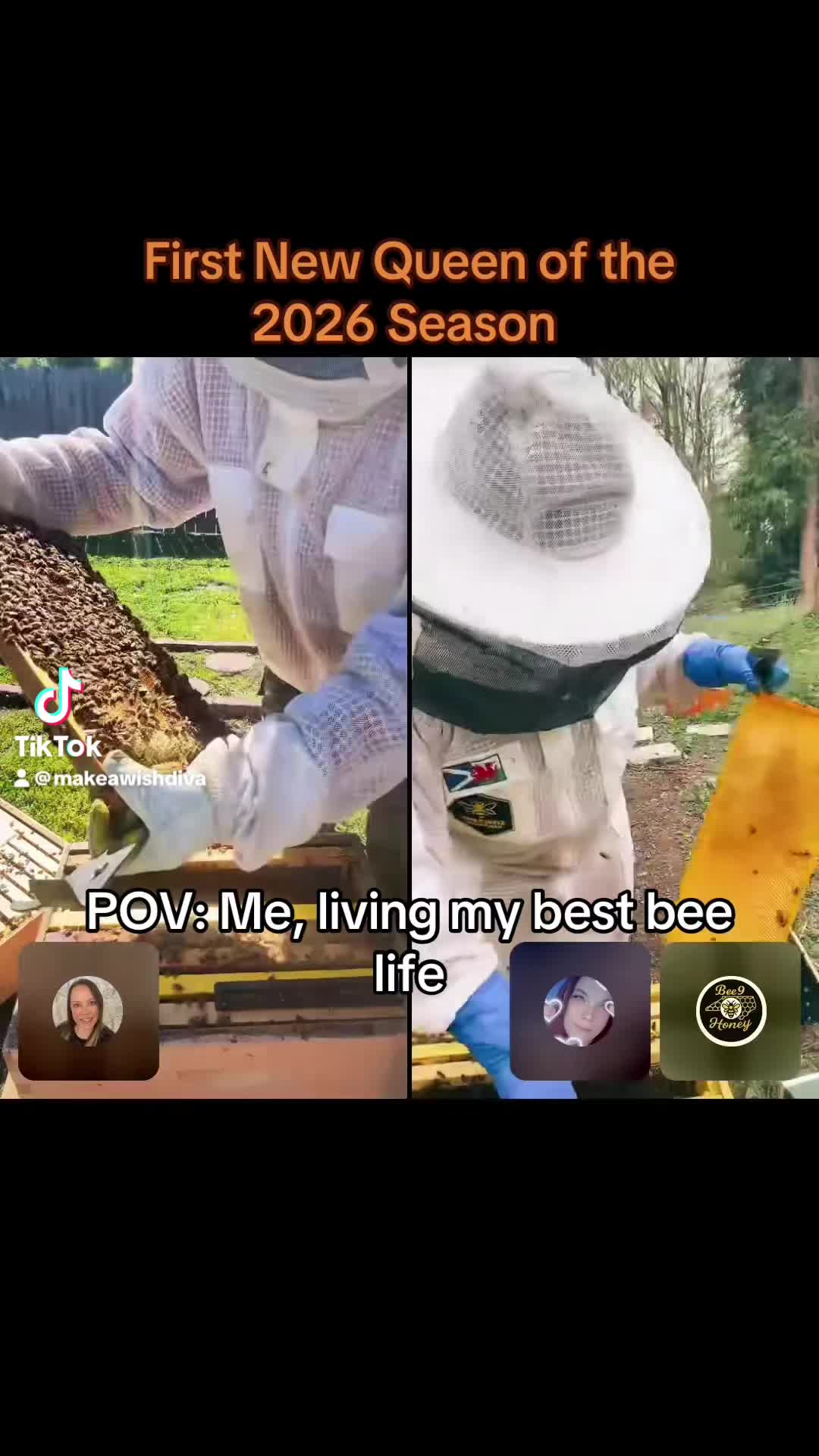 @DivaKBees🐝🐝🐝