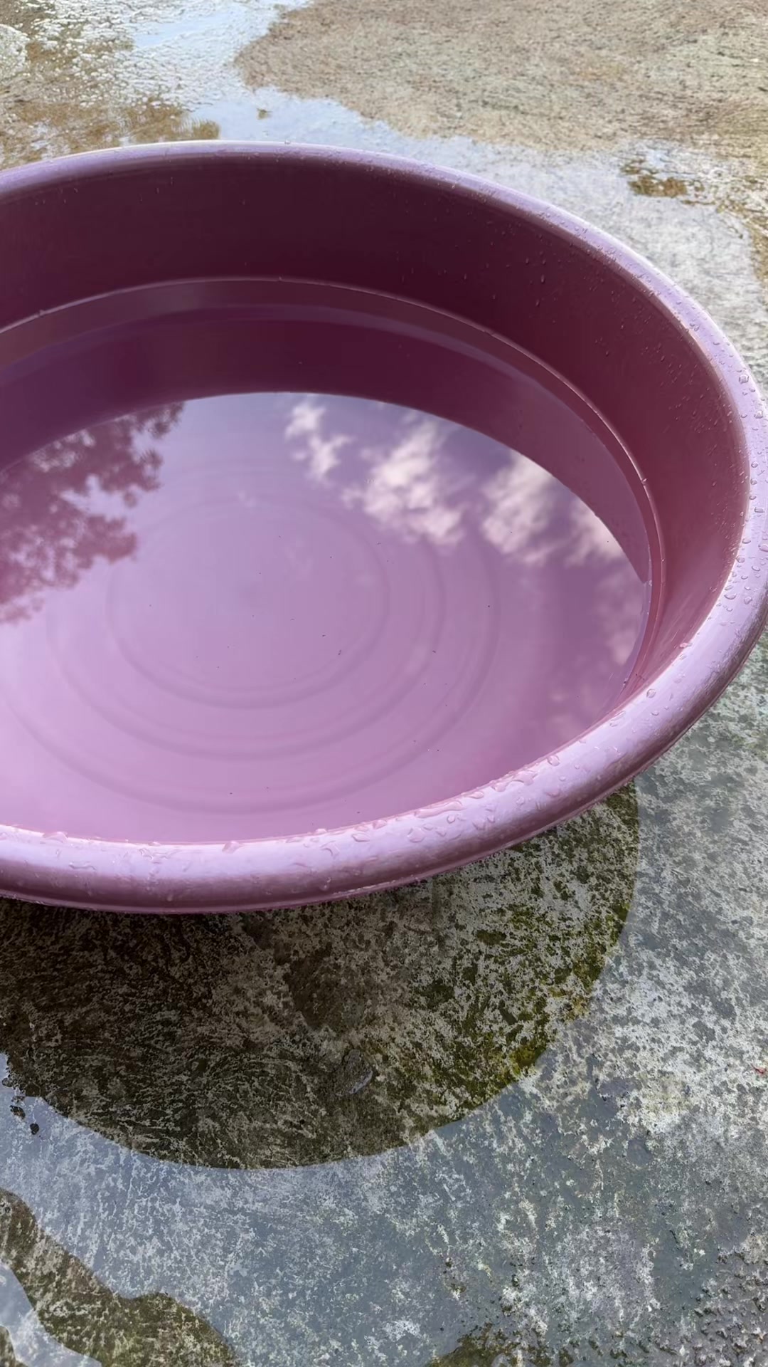 @wiwufinds