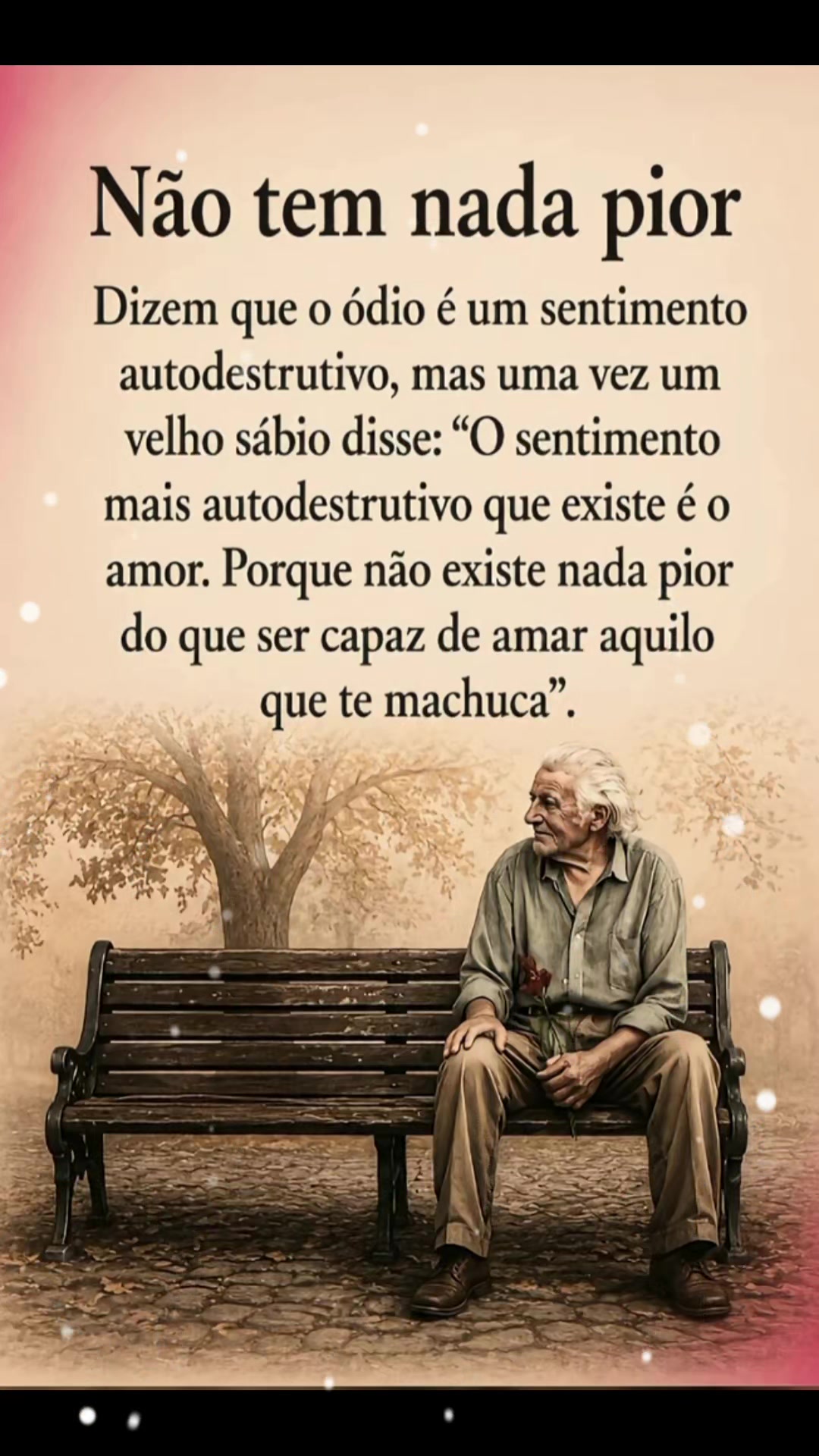 @Rose Alves