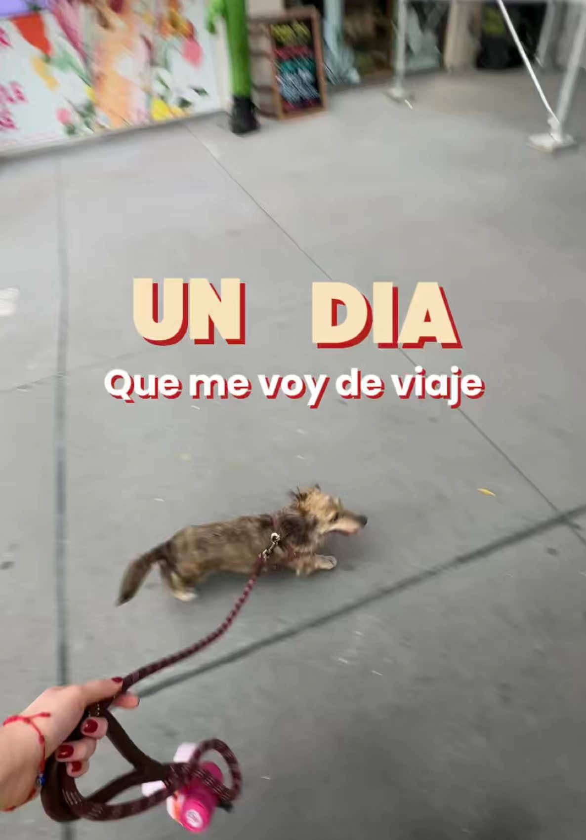 @Juliana