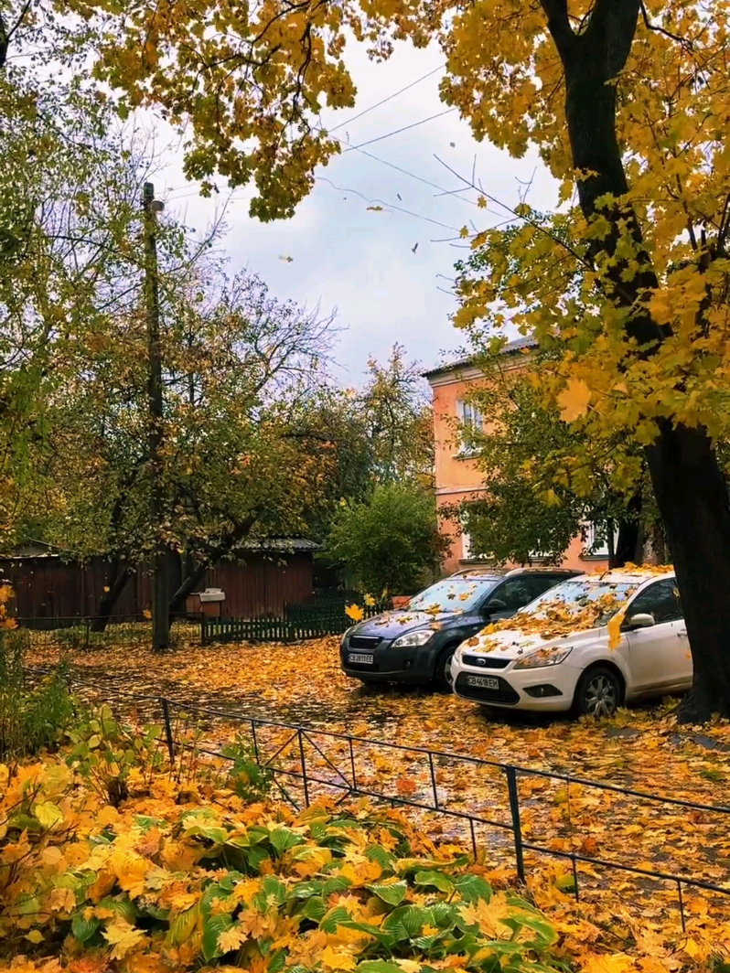 @Лайки для тебя