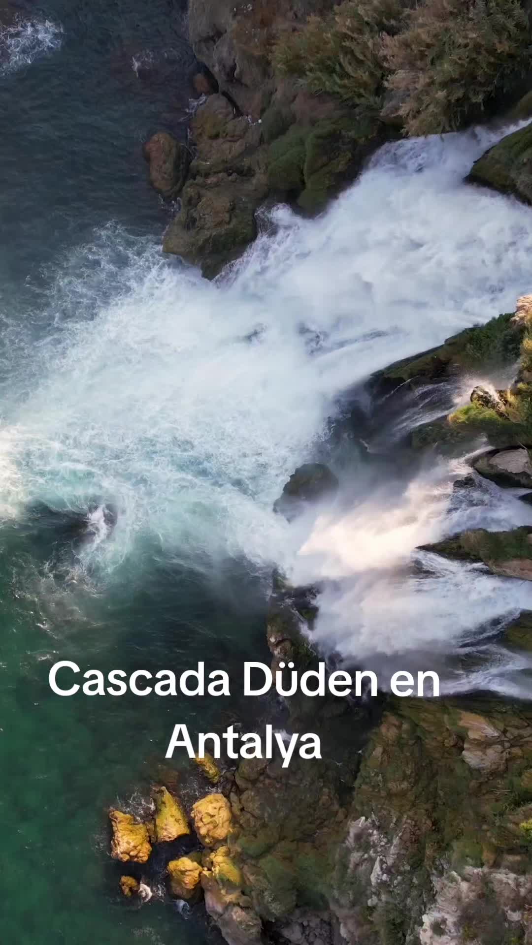 @CTAYM