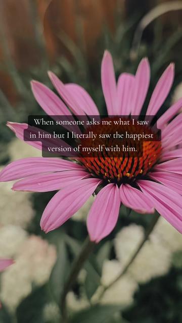 @ᴏꜰ ᴛʜᴇ ɴᴏʀᴛʜ 🌻✨️