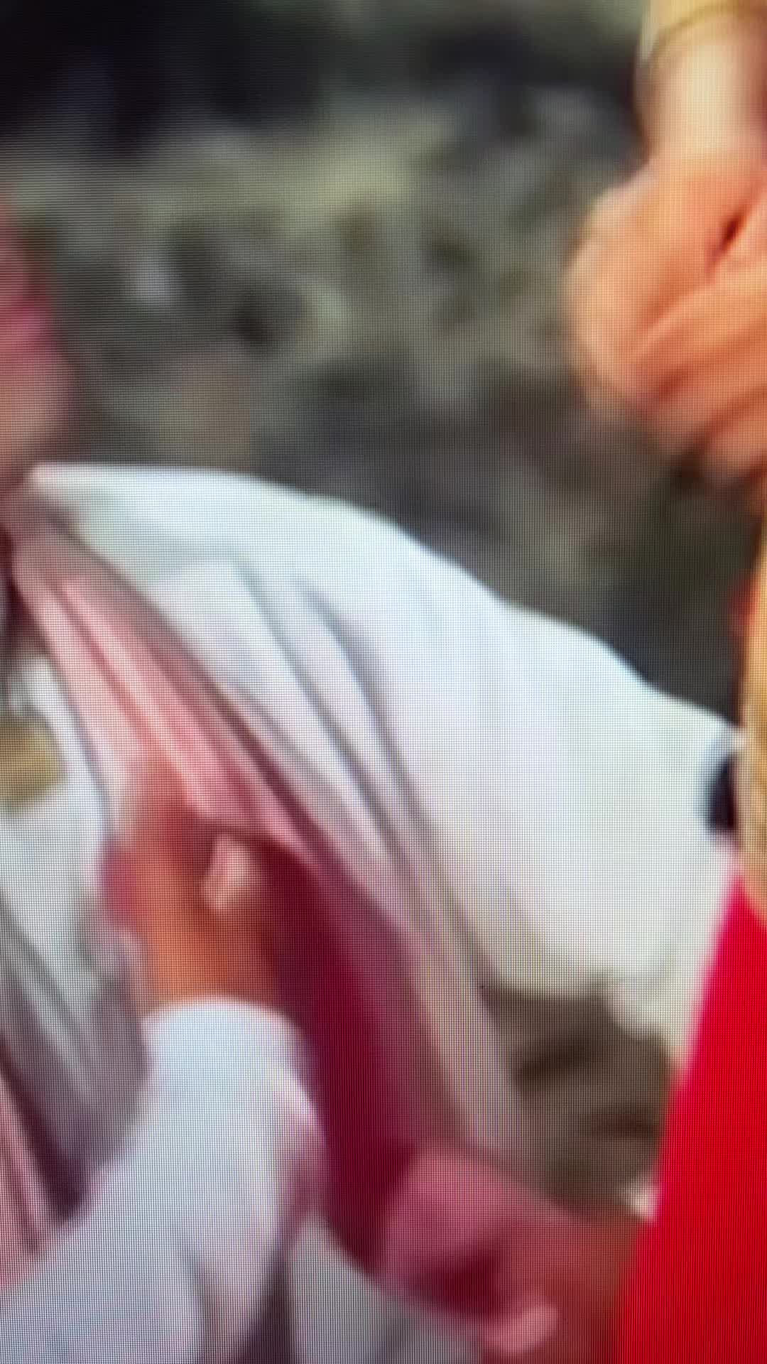 @sarb568