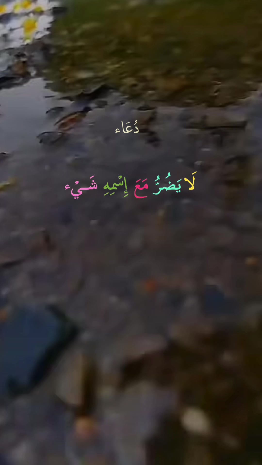 @Om MARAM