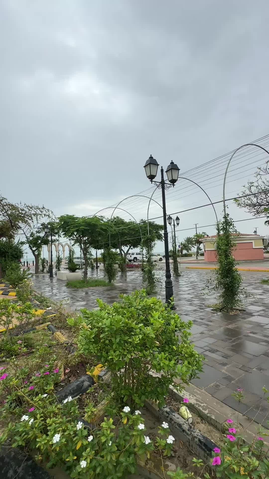 @ملك بلوقررر / الجبيل ✨
