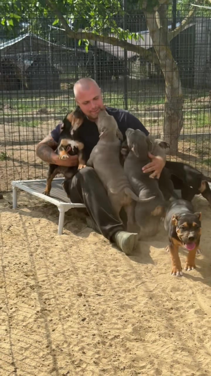 @TopQualityBullyKennel