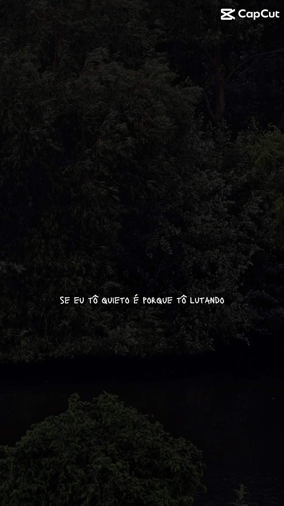 @Flavia Soares
