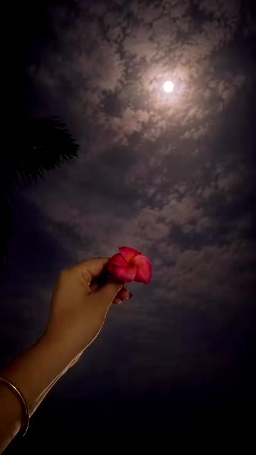 @🌸أروهي إسلام روحي🌸