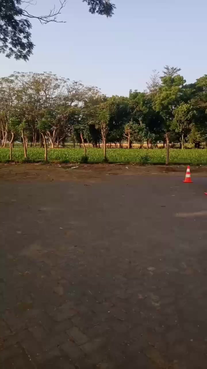 @Ali Natuna Probolinggo